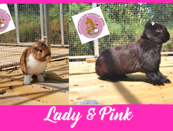 Lady & Pink