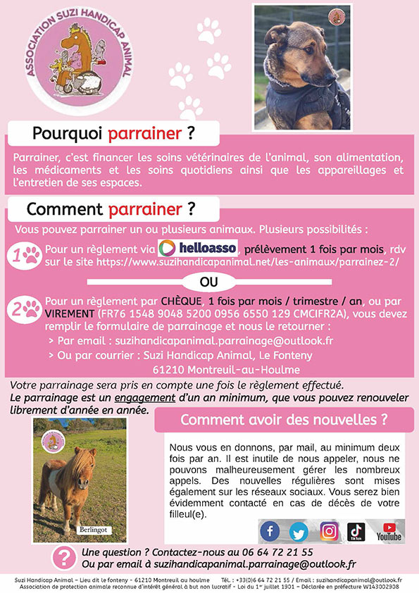 comment rendre hommage a un animal décédé