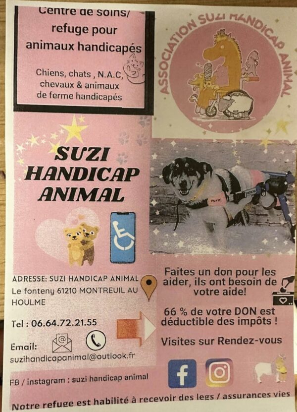 Flyers général – Image 2