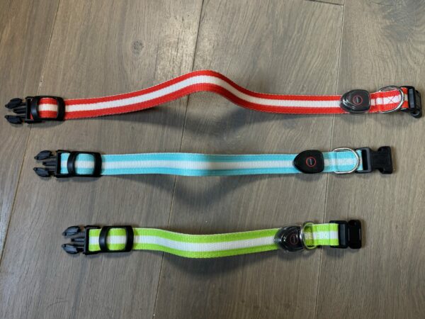 Collier lumineux chien