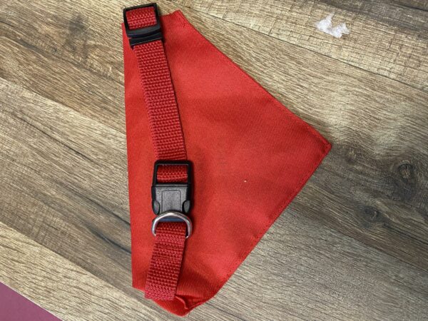 Collier- bandana pour chiens – Image 2