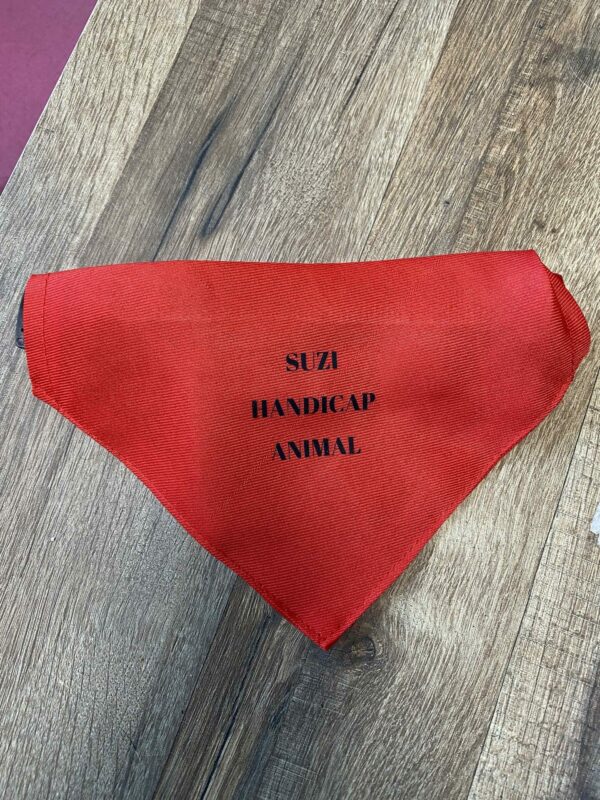 Collier- bandana pour chiens