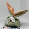 Pochons « lapin de Pâques » – Image 5