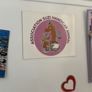 Magnet frigo