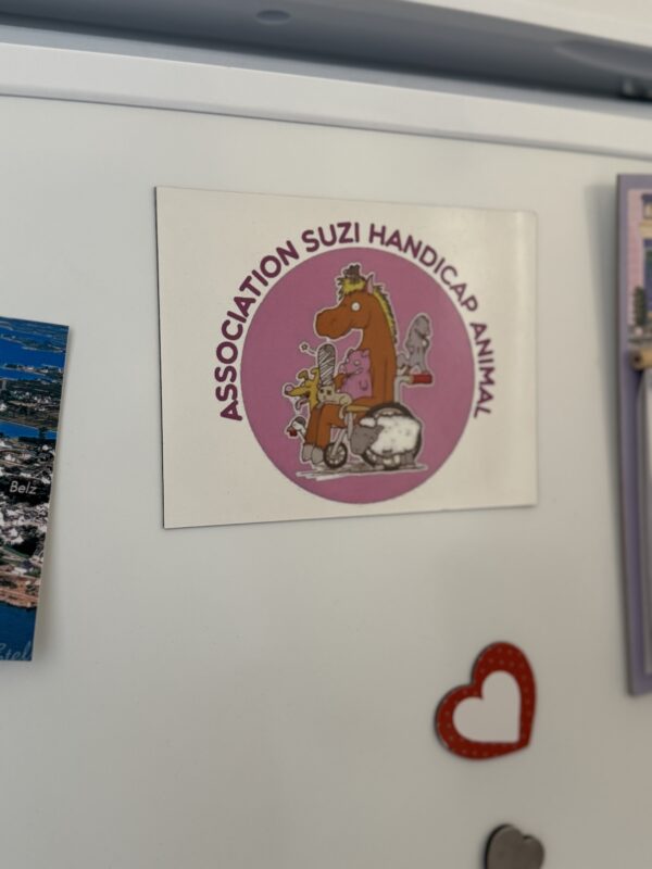 Magnet frigo