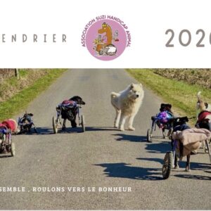 Pré commande Calendrier 2026
