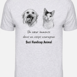 Tee shirt gris - nouvel édition