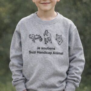 Pull enfants gris - nouvel édition