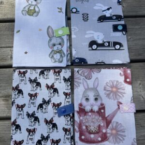 Petit carnet de santé